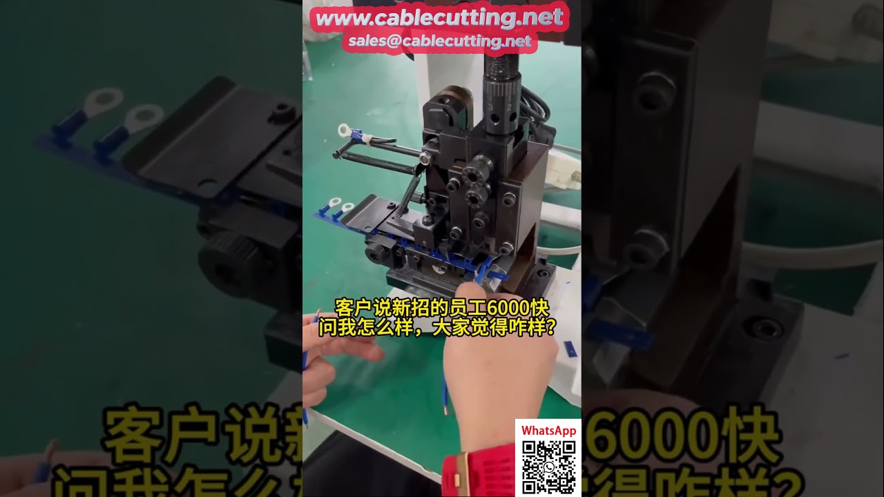 Máquina de terminales precisa con alimentación automática molde de alimentación lateral