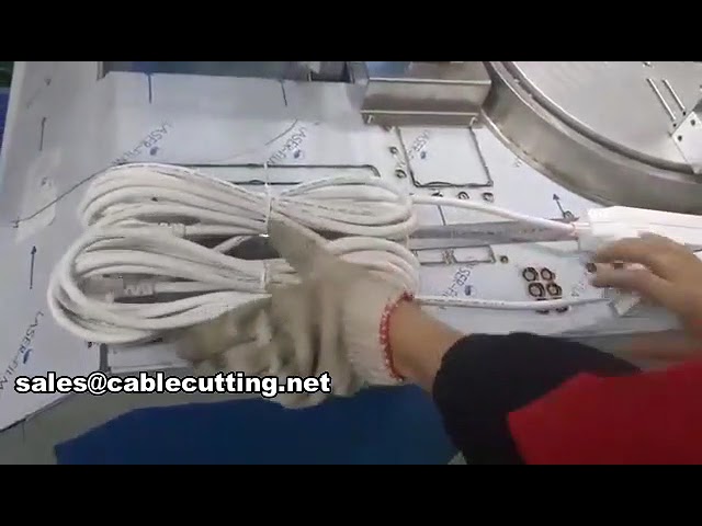 automatic wire winding tying machine WPM-81