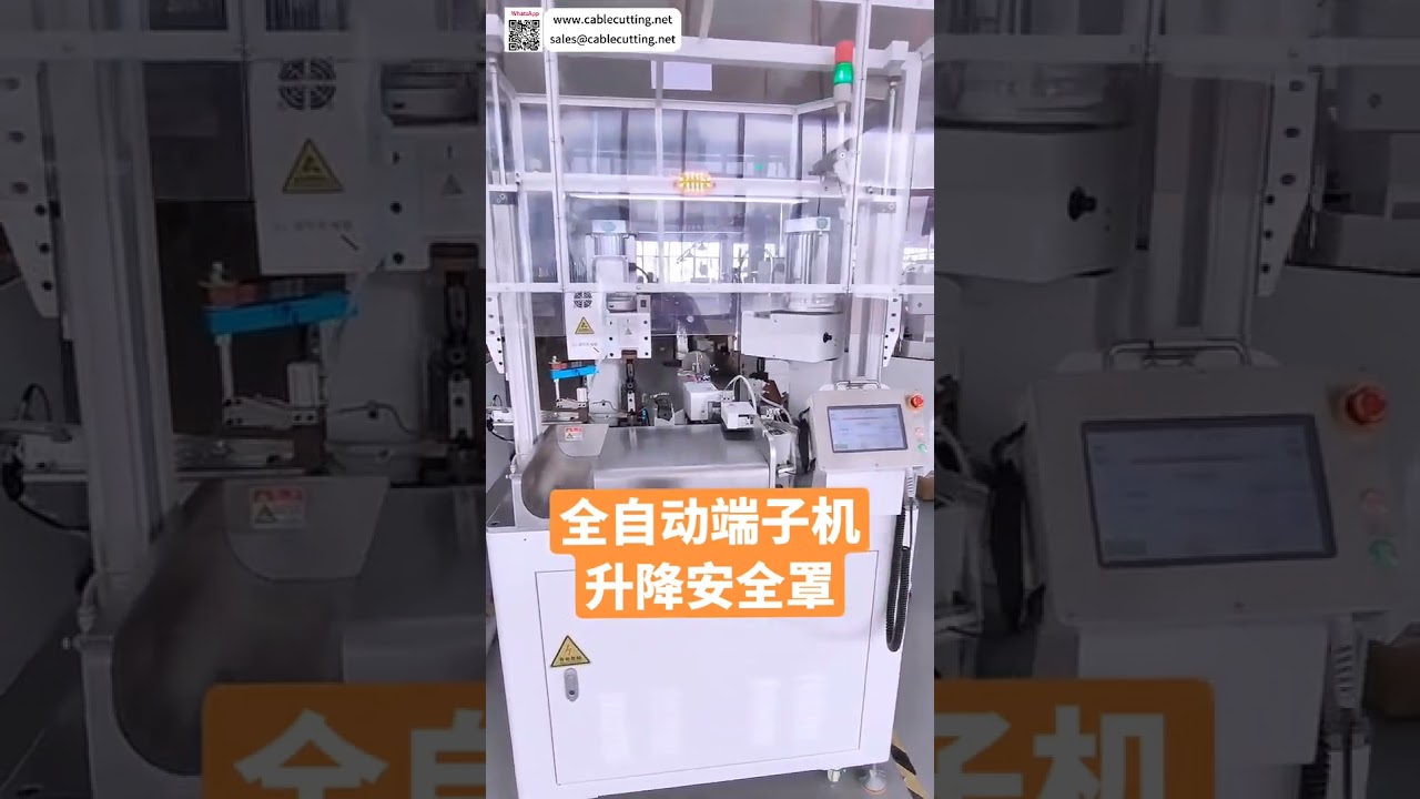 Automatic Wire Harness Processing Equipment  Factory Real View Production Line Auto Machine